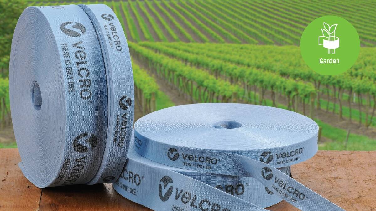 TYPE: Velcro UV Plant tie is available in 25mm x 45m or 50mm x 45m.