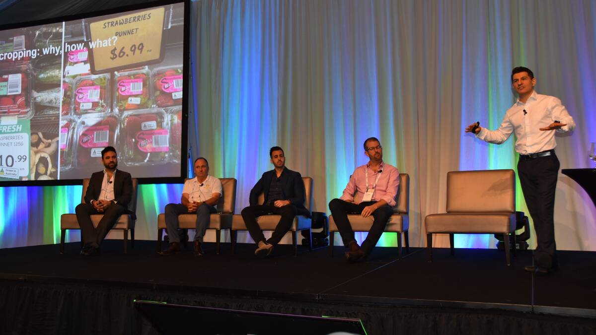 SIGHT: The retail trends panel at the Protected Cropping Australia Conference 2019 Joseph Cartisano, Perfection Fresh Australia, Lee Peterson, BerryWorld Australia, Frank Barillaro, Roc Partners and Michael Engerman, Costa, with session moderator, Tristan Kitchener.