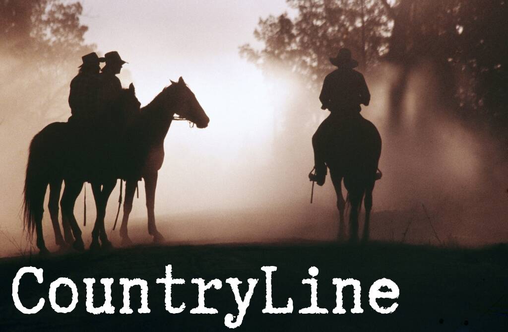 TUNE IN: Click on the image above to start listening to CountryLine, Australia's newest and least credible rural news podcast. 