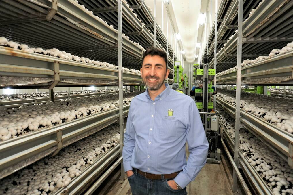 INSIDE: Farmer and owner of SA Mushrooms Nick Femia within the mushroom production facility that was shown to the children. 