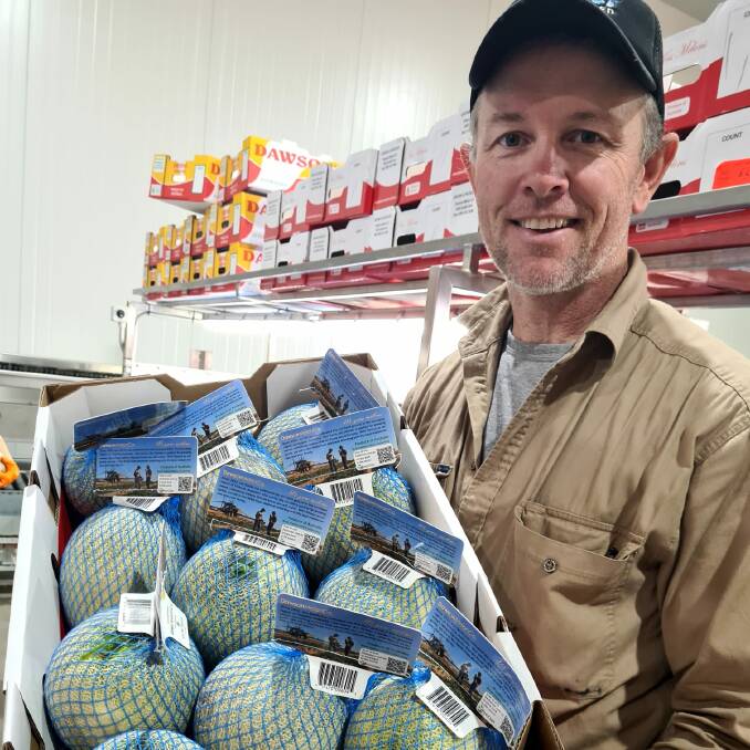 AWAY: Brad Dawson, Dawson Melon Co, with a tray of melons ready for export. 