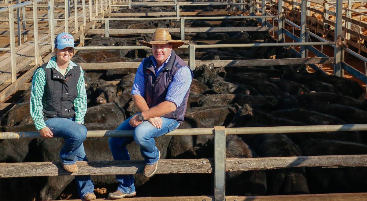 Brad Neven Principal Watkins and Company Roma and client Ella Walker of Roslin Grazing with their line of 400 Angus steers that averaged 440c/kg and 410kg/head.