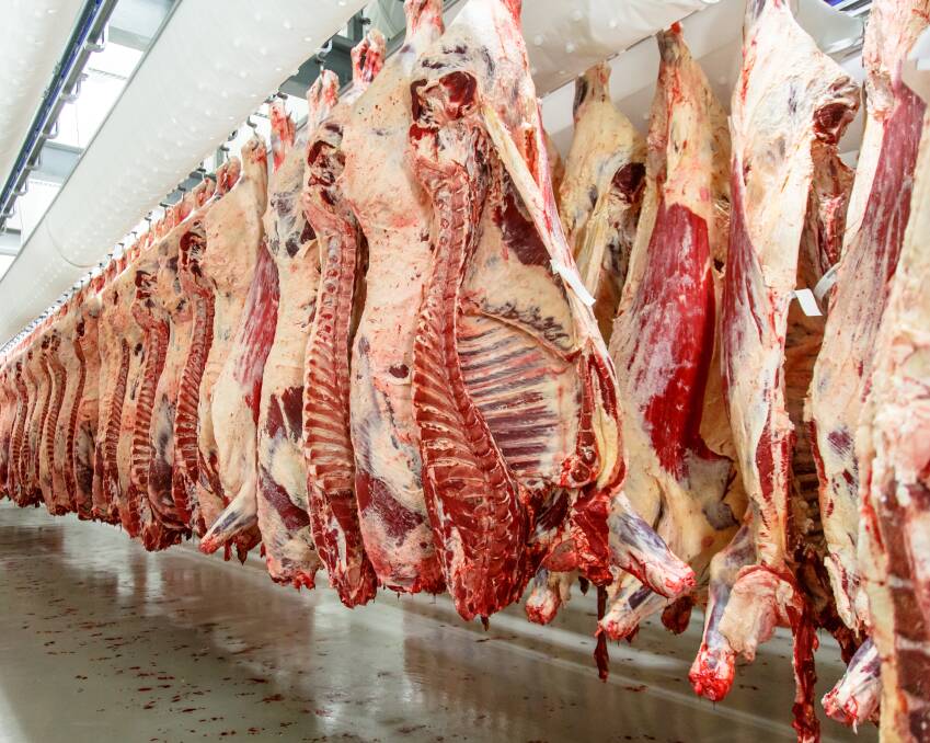 November beef exports up