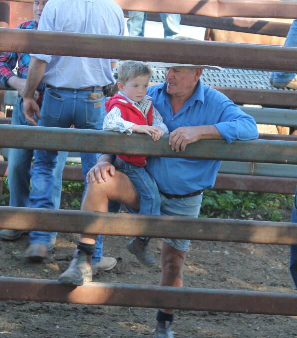 Monto cattle sale buyers Alan Penney with grandson William Penney at Montos fortnightly cattle sale with 750 head yarded. 