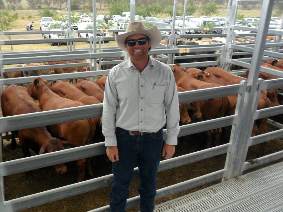 Todd Smith from AJ Bush & Sons Bromelton, who sold a line of 135 steers from weaners to 15 months to average $910 at Beaudesert.