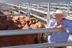 Weaner steers sell for 882c at Biggenden