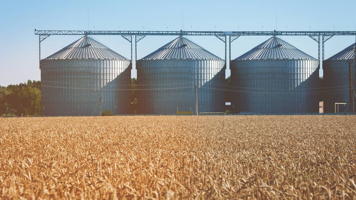 Downs grain prices rise as WA export demand improves