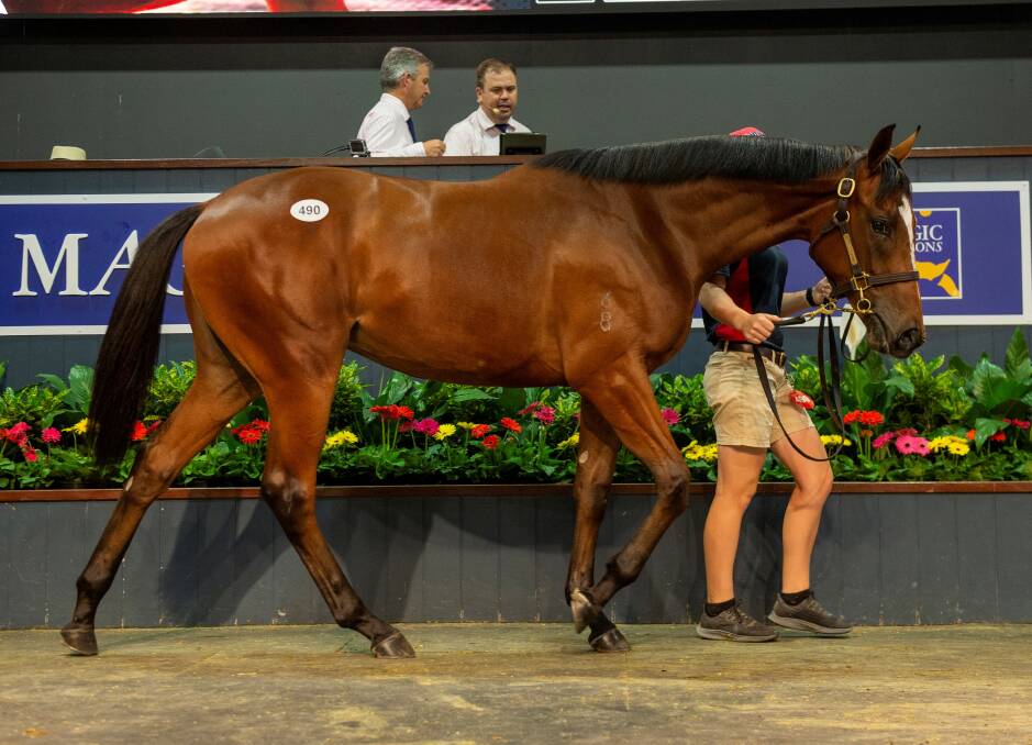 Central Queensland graziers Alan and Jennifer Acton paid $750,000 for an I Am Invincible/Lusitania filly. Picture: Magic Millions 