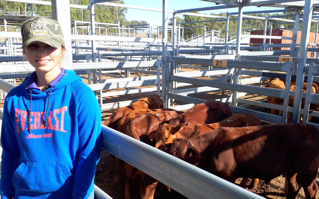Erin Gutzke of Gutzke Rural Holdings, Coulson sold Droughtmaster weaner steers for $590.