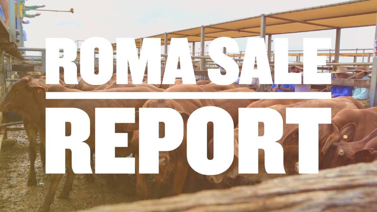 Charolais heifers reach 281c/$1838 at Roma prime sale