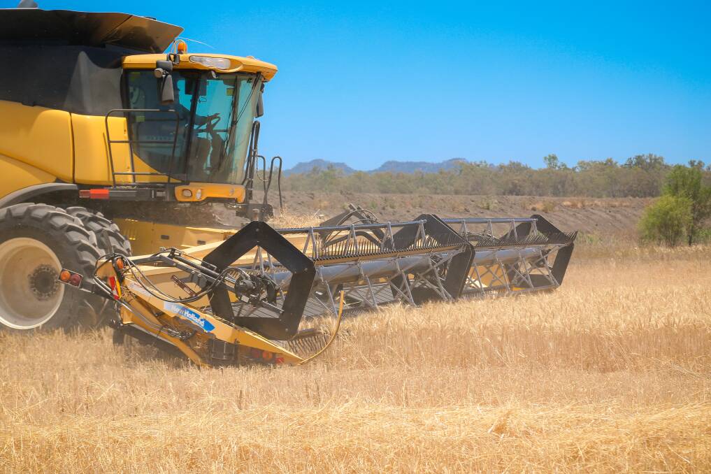 Grain prices surge as crop expectations sink