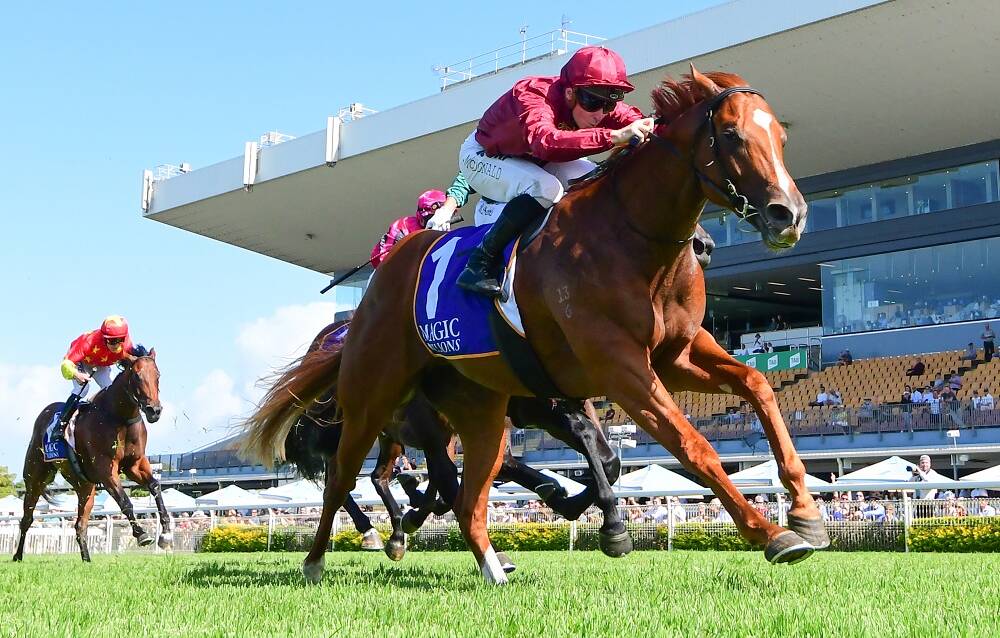 New Telemon sire Sun City winning the Group 3 BJ McLachlan Stakes for 2YOs at Doomben in 2019. Picture: Telemon Stud
