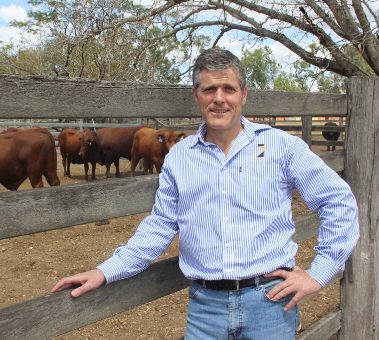Budget reveals government's lack of vision for Queensland agriculture