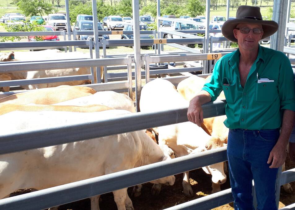 Steven Hardgrave, Tin Horse, Mt Lindesay, sold Charbray steers 2.5 years for $1500.