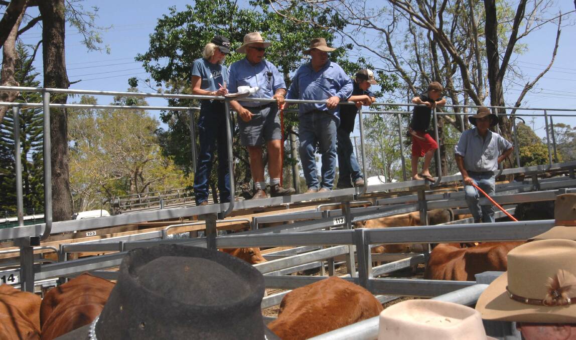 Younger cattle sell well at Woodford