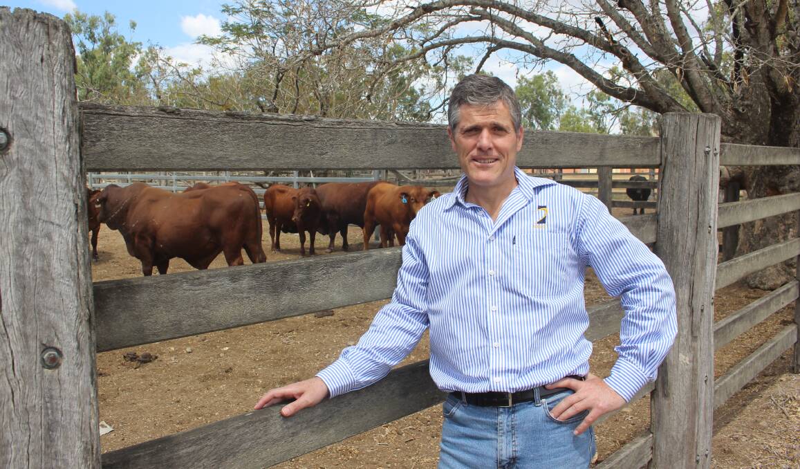 Ag ed cut in Qld while other states invest more​