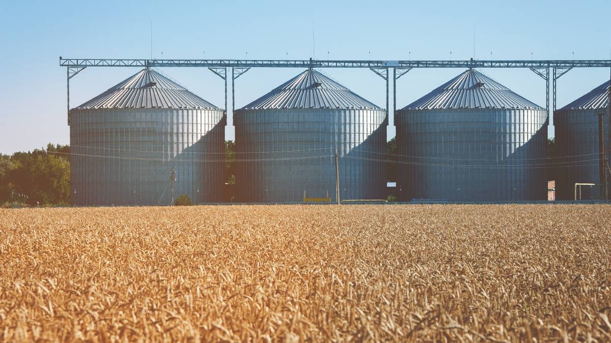 Local wheat and barley prices tumble