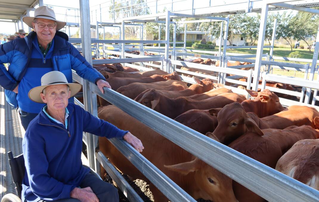 Graham Isbell, Coulson, pictured with Geoff Jackwitz, sold 160 Droughtmaster steers 18 months, topping at $2140.