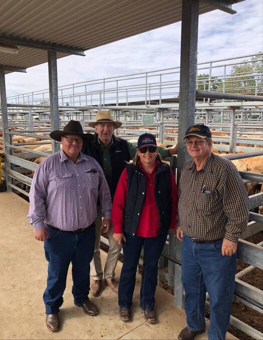 Terry Ray, Landmark Emerald with Anthony Whitehead, Zita McHugh and Tony Whitehead, Satelitte, Springsure. The Whitehead family offered Charolais cross weaner steers to make 302c/kg to weigh 274kg and return $828.