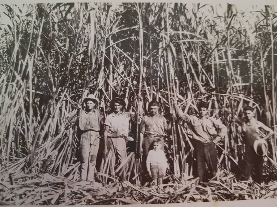 HARD YAKKA: Cane cutting gang on the Burdekin in the 1960s. Entire communities in North Queensland have been built on the back of the sugarcane industry. Photo: Burdekin Cane Farm Stay.