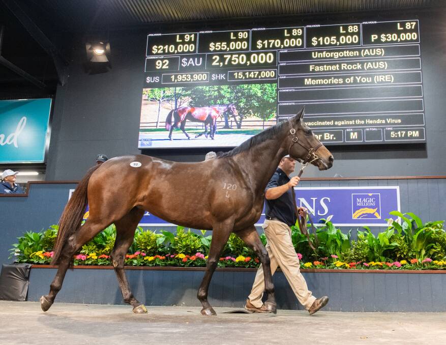 Outstanding filly Unforgotten has set a record becoming the most expensive lot sold in Australia to an on-line bidder when sold for $2.75 million. Picture: Magic Millions