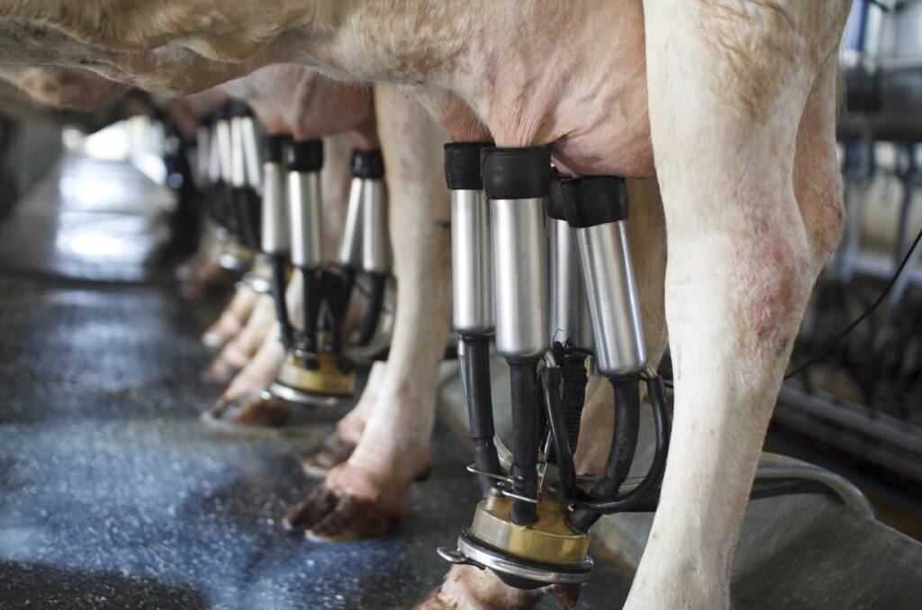 Farmers have their say on dairy levy