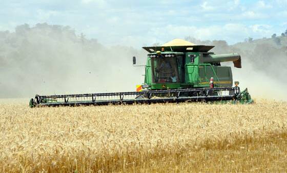 Crop forecasts grow on bumper harvest volume