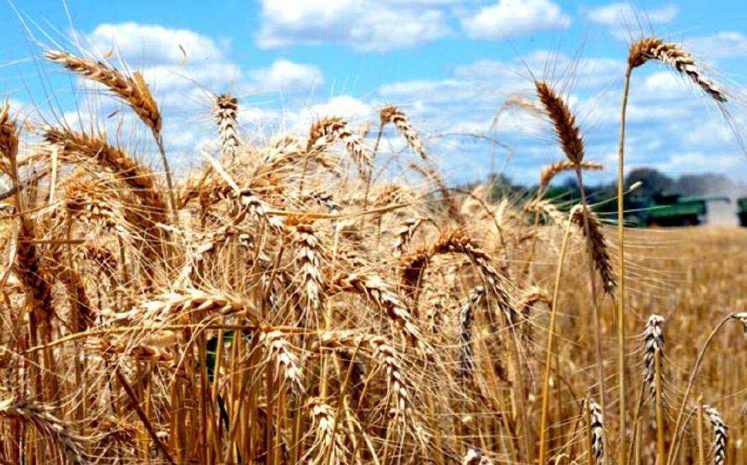 Northern crops on edge after dry June