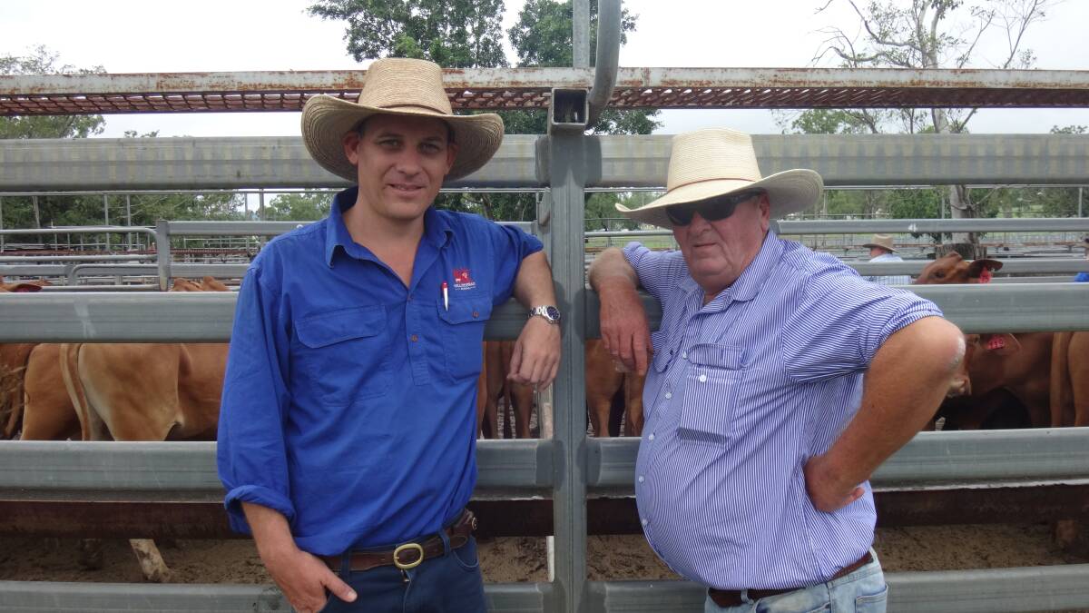 Jason Fitzgerald, Millmerran, with Steve Little ,Mt Tyson, who purchased milk tooth Droughtmaster steers for $1340 at Toogoolawah.