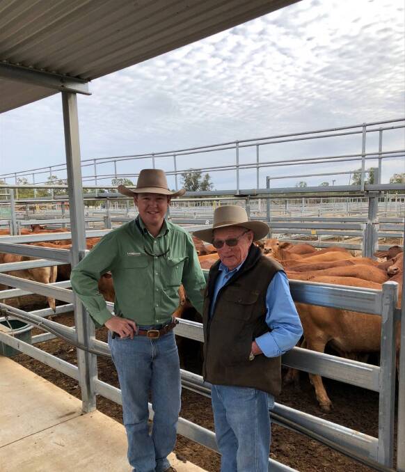 Bryton Virgo, Landmark Emerald with former gun Stock & Station Agent of Central Queensland, Des Muller, Monash, Comet. Des along with the Bottomly family saw their Droughtmaster/Limo cross steers sell for 267c to weigh 426kg or $1138.