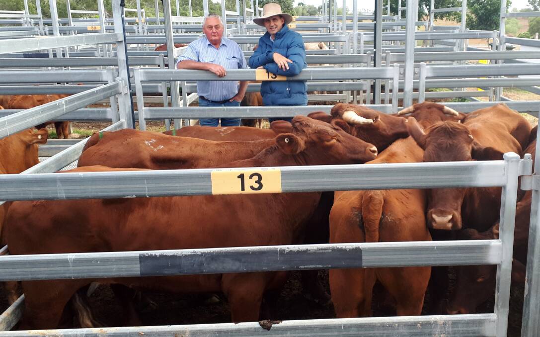 Robin Retschlag, Barney View, pictured with Bartholomew & Co Agent Garth Weatherall, sold 26 store bullocks topping at $1585 at Beaudesert.