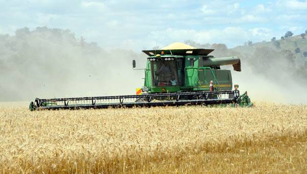 Grain prices edge higher on southern rain