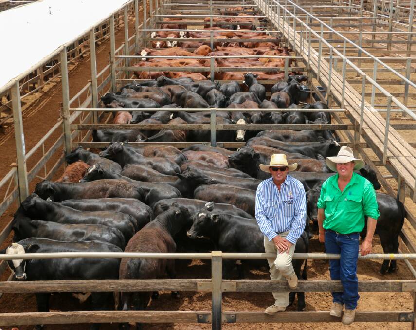 MAA agent Duncan McLeod and Cam Flower with a line of CA Flower & Co steers that sold to 514c, reaching a top of $1838 to average $1672. The heifers sold to 504c, reaching a top of $1276 to average $1151. 