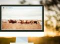 Online cattle listings slip