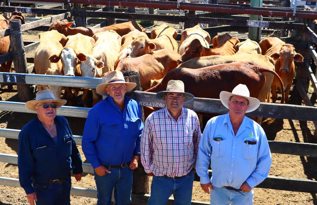 Buyers Thomas Kelly, Brendan Kelly of Kelly Brothers at Boat Mountain with vendor Stuart Apel from Mt Auburn, Chinchilla, and selling agent Chris Crouch, Aussie Land & Livestock Kingaroy. The Kelly brothers purchased 64 PTIC and empty cows averaging 331c/kg for a top of $2295. Thomas said he purchased them to fatten and calve out. Picture: Torkit Business Solutions