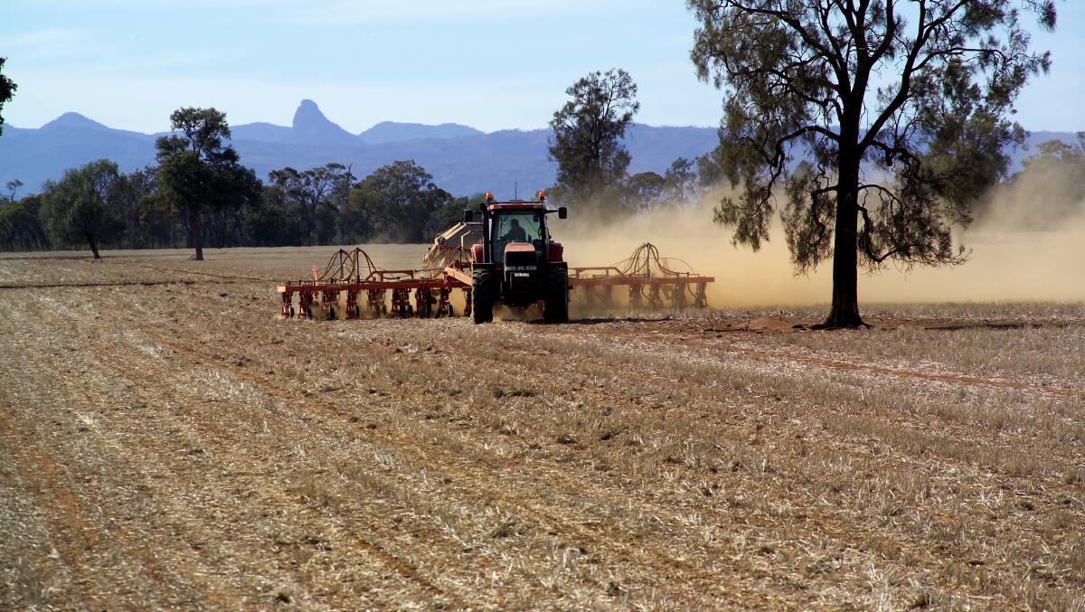 Time running out for further winter crop plantings