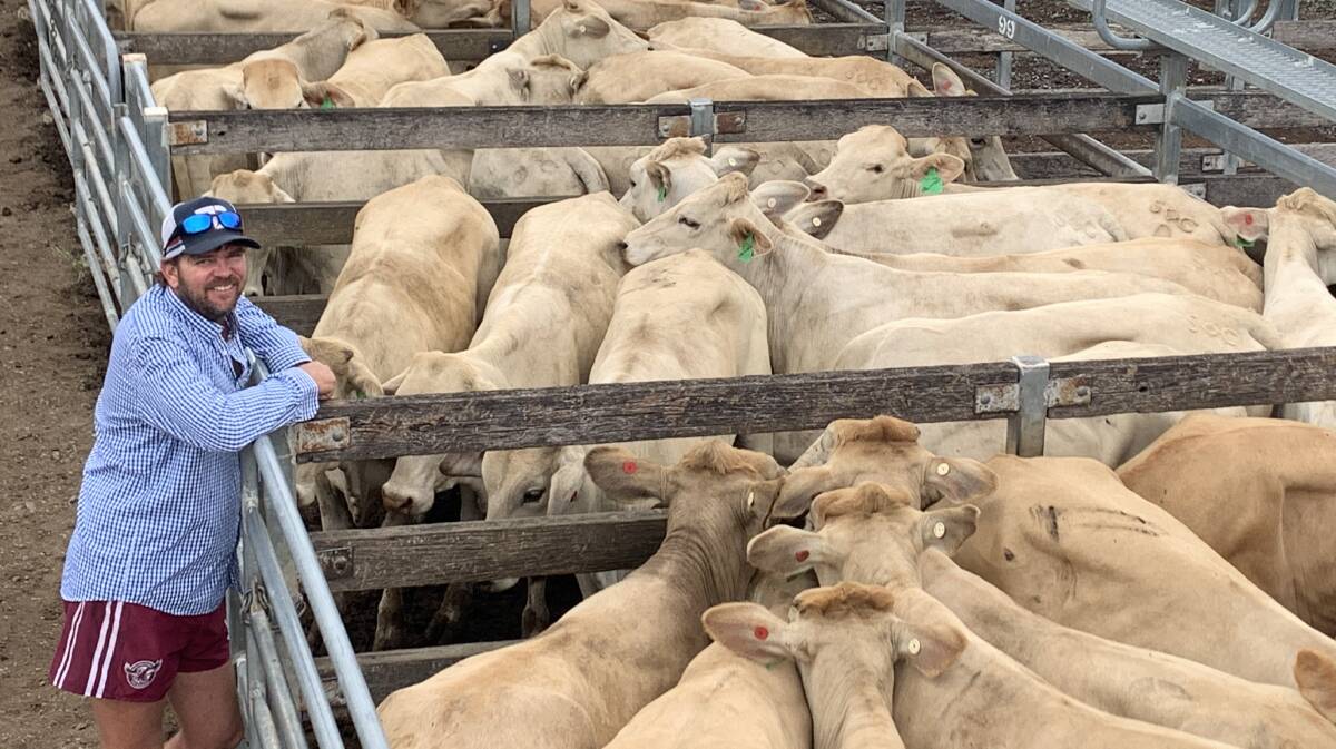 Vendor Scott Cleary, Colinton Station, with a run of 108 Charbray heifers bred on his Colinton property. The heifers were aged 14 to 16 months old, averaging $1406/hd selling to a top of $1510/hd. 