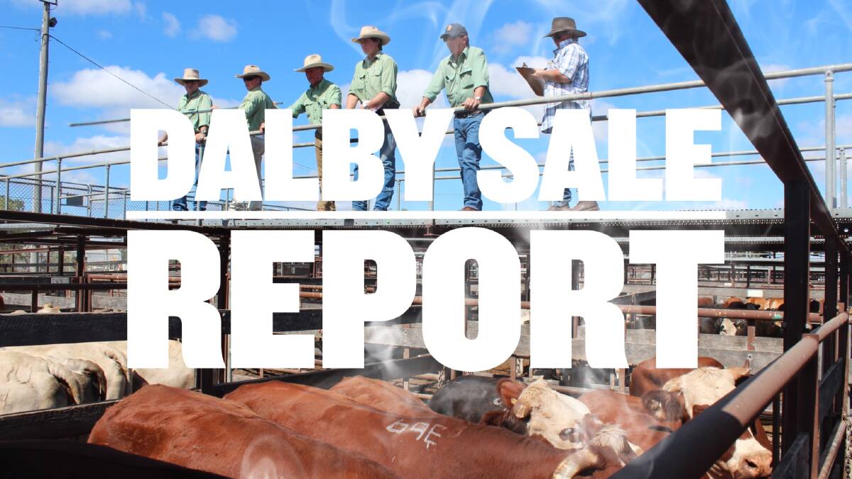 Yearling steers under 200kg make 466c, average 439c, at Dalby