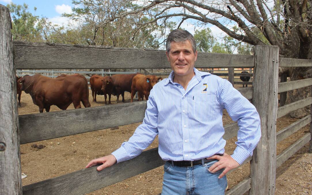 Loud, proud, honest - the voice of Queensland's farmers