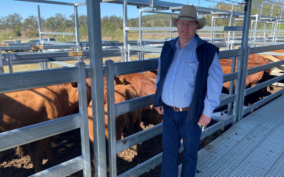 David Jackson, Blue Range Investments, Tarome, sold Santa steers 20 months for $1630.
