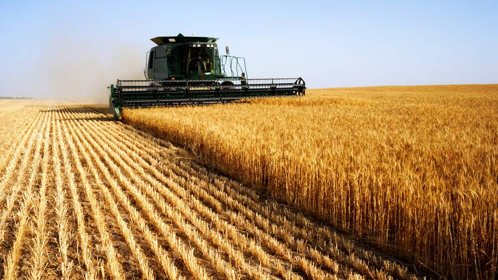 Record Australian wheat exports in March