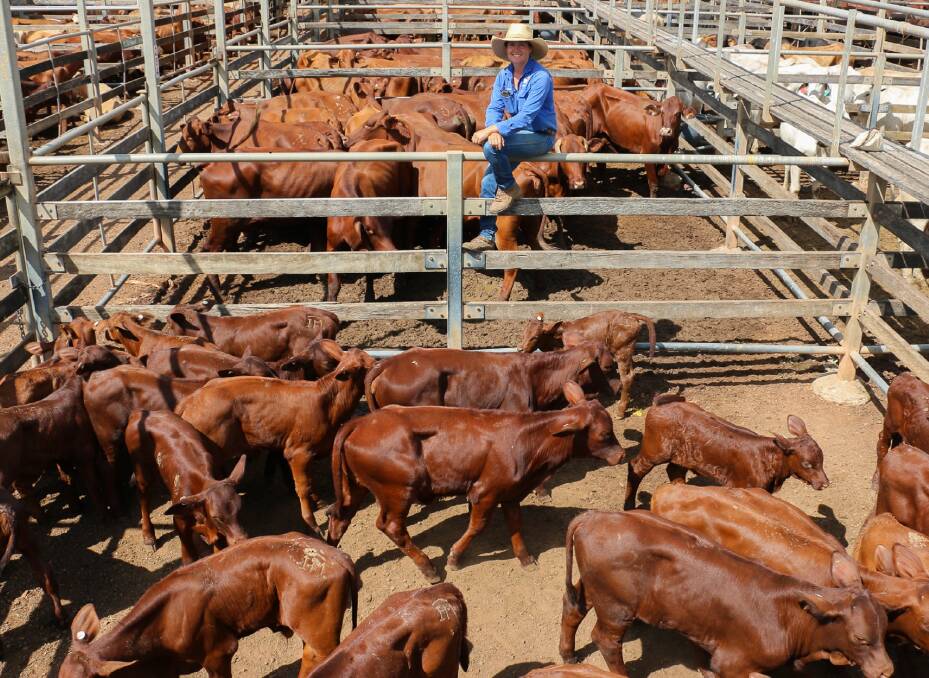 TopX Roma agent Sarah Packer with a pen of Roseharty cows and calves which sold to $1840/unit.