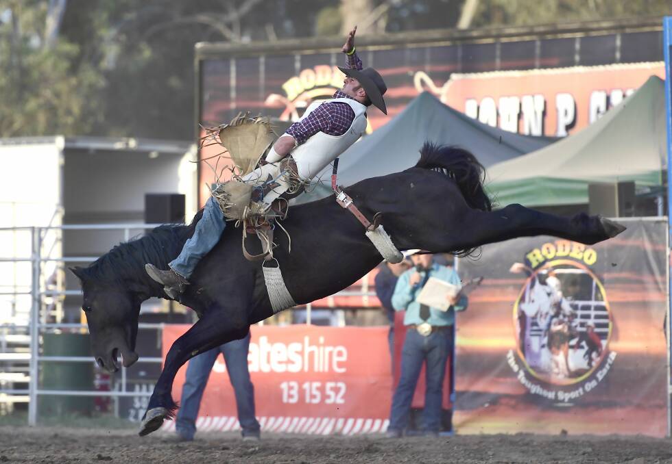 FRONTRUNNER: Ben Hall is a runaway leader in the bareback bronc standings and will be the favourite for his pet event at Hay.  Picture: Dave Ethell 