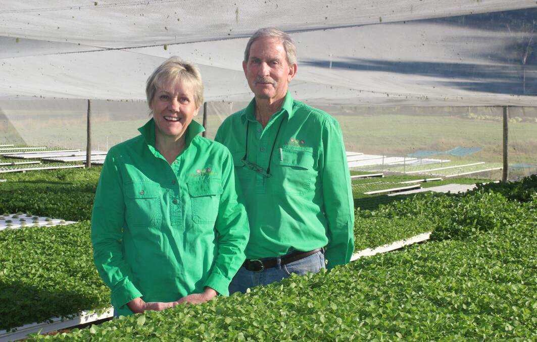 Mary-Jane and Cam Turner of Riverdale Herbs are the first Fair Farms certified growers in Queensland.