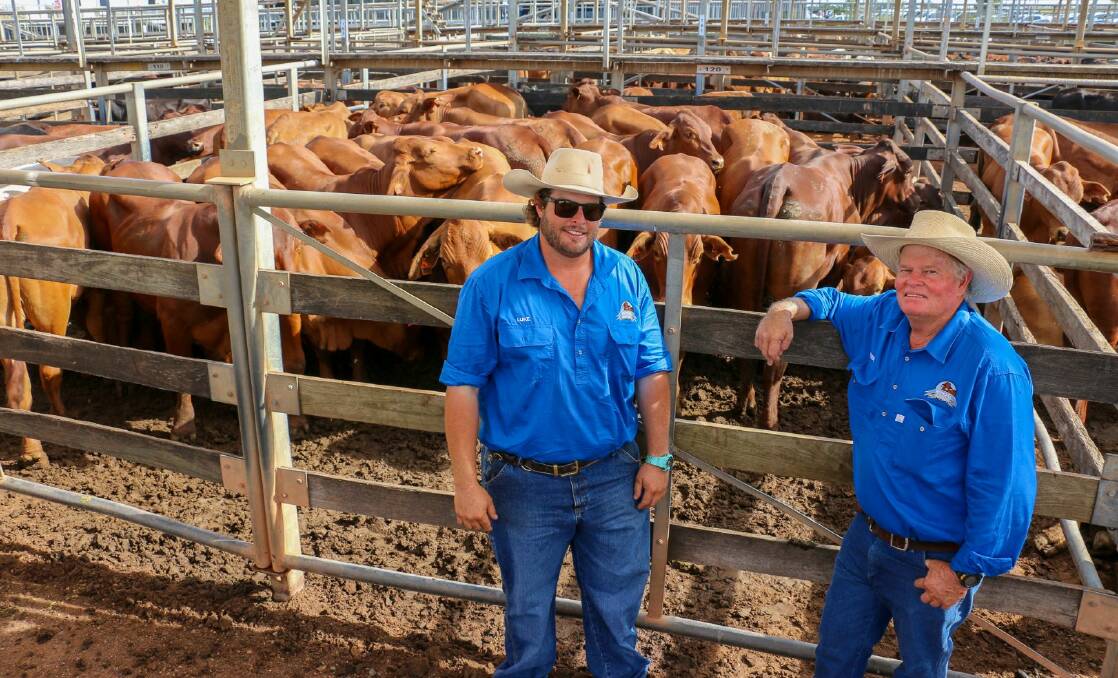 Vendors Luke and Peter from Androd, Winton, with a pen of Androd steers that sold to 416c/kg, reaching a top of $1608 to average $1245. 