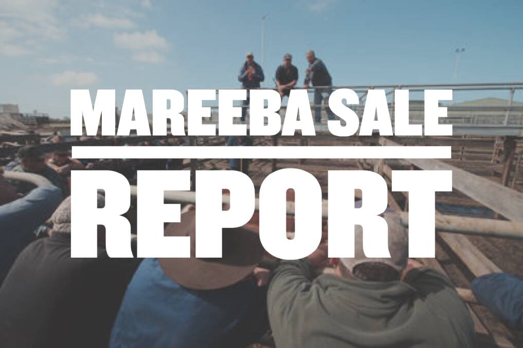 Local trade heifers reach 175c  at Mareeba