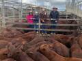 Grant Daniel & Long Taroom agent Jordan Wenham with Richard and Kim Donner and son William, Boxvale Cattle Co, Injune, sold 140 good quality Angus cross and Santa cross steers. The Angus cross steers sold to 576.2c/kg, with the lead pen making 566.2c/kg, at 362kg, reaching a top of $2053.56. The Santa cross steers sold to 610.2c/kg, with the lead pen making 568.2c/kg, at 335kg, reaching a top of $1906.63.