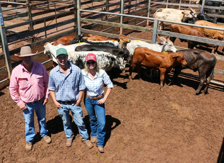 Elders Roma agent and vendors Nick Willaton and Ruby Bushell with a pen of Bangor Cattle Co Pty Ltd heifers. The heifers sold to 636c/kg, reaching a top of $1280 to average $1076. The steers sold to 700c/kg, reaching a top of $1228 to average $1211.