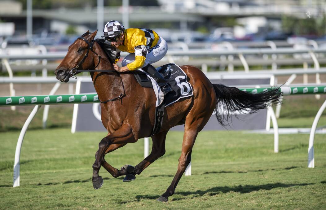 Townsville-bred and owned Tambos Mate wins a Class 6 Plate at Doomben last month before winning the Listed Recognition Stakes at Doomben last Saturday. Picture: Racing Queensland