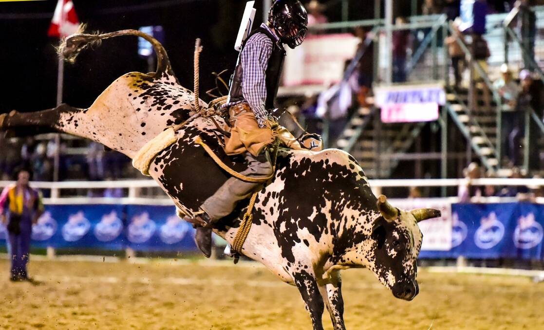 Central Queensland rider Brady Fielder won the APRA bull riding title in October. 
 Picture: Dave Ethell